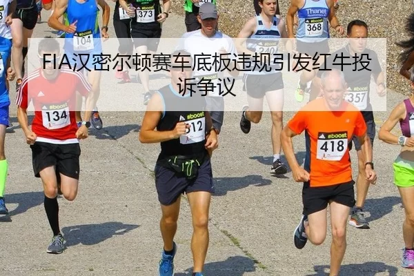 han-mi-er-dun-sai-che-di-ban-wei-gui-yin-fa-hong-niu-tou-su-zheng-yi-2-620.jpg