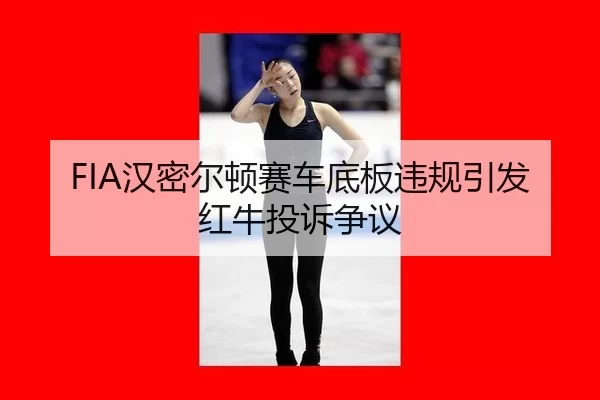 han-mi-er-dun-sai-che-di-ban-wei-gui-yin-fa-hong-niu-tou-su-zheng-yi-3-294.jpg