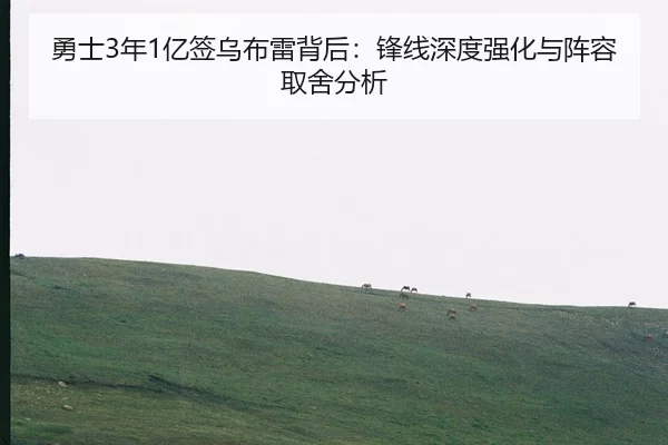 yong-shi-nian-yi-qian-wu-bu-lei-bei-hou-feng-xian-shen-du-qiang-hua-yu-zhen-rong-qu-she-fen-xi-2-490.jpg